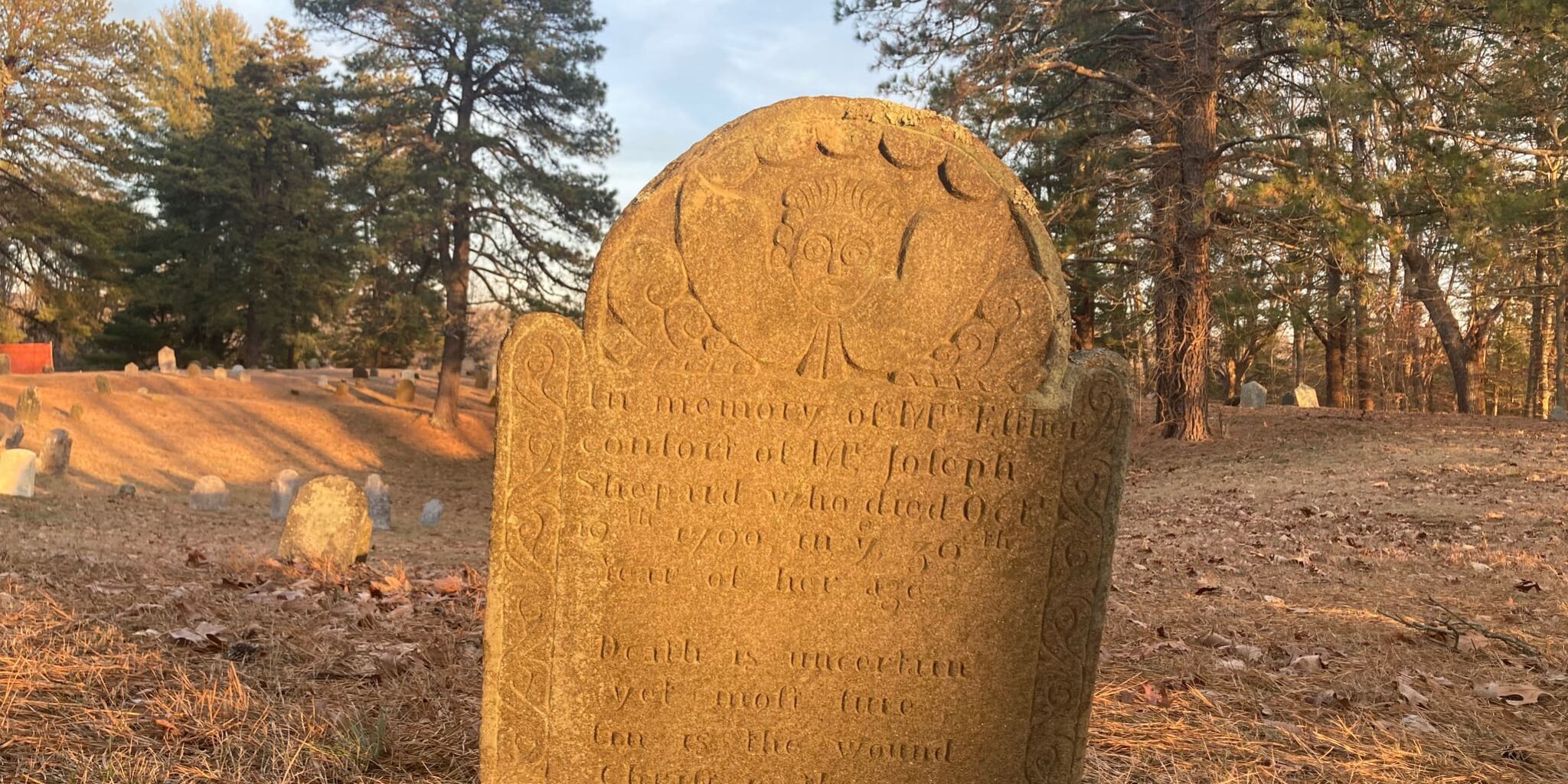 old-plainfield-cemetery-org-strategy-3